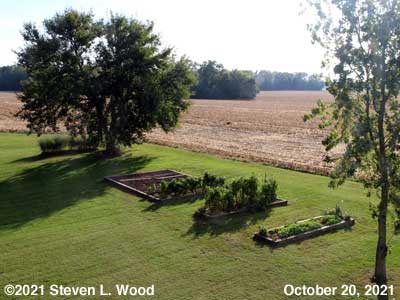 Our Senior Garden - October 20, 2021