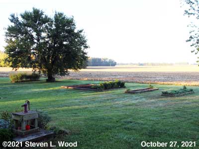 Our Senior Garden - October 27, 2021