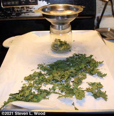 Dried parsley getting crushed and going into storage jar