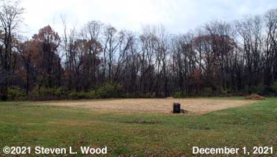 Our East Garden - December 1, 2021