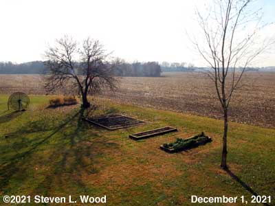 Our Senior Garden - December 1, 2021