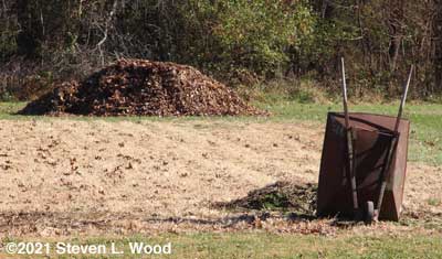 Old compost pile in foreground