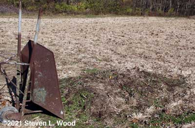 Old compost pile and my $1 wheelbarrow