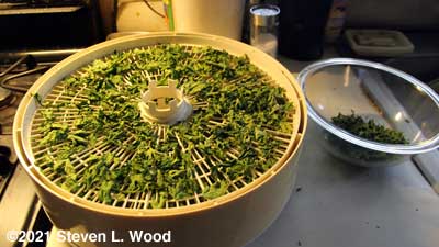 Parsley dried