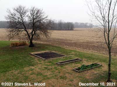 Our Senior Garden - December 10, 2021