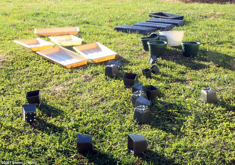 Trays and pots drying on lawn