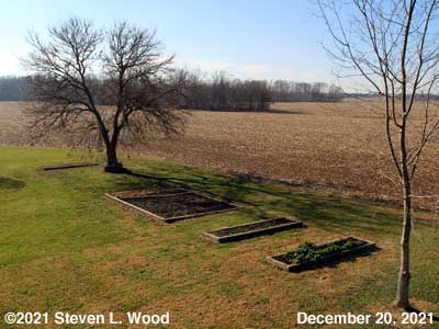 Our Senior Garden - December 20, 2021