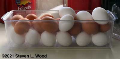 Brown and white eggs