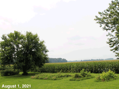 August, 2021, animated GIF of our Senior Garden