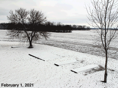 Animated GIF of Our Senior Garden - February, 2021