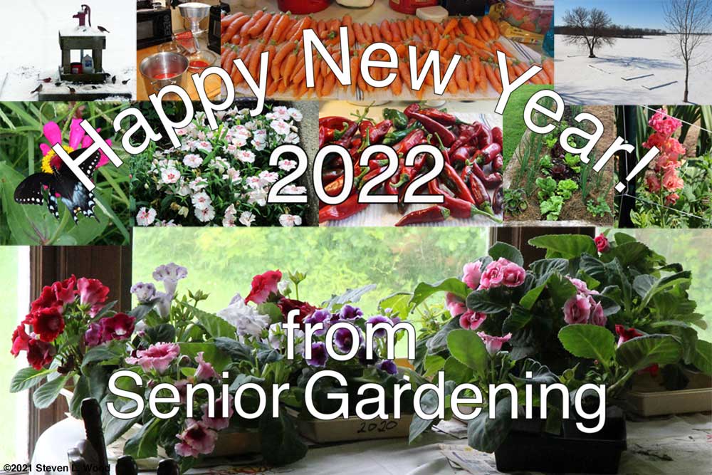 Happy New Year 2022