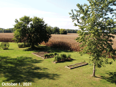 October, 2021, animated GIF of our Senior Garden