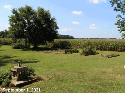 September, 2021, animated GIF of our Senior Garden