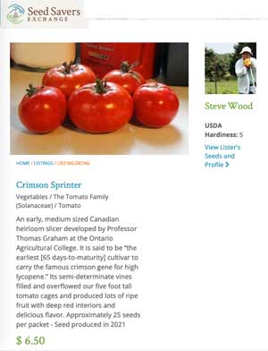 SSE Crimson Sprinter Page