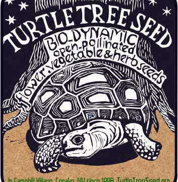 Turtle Tree Logo
