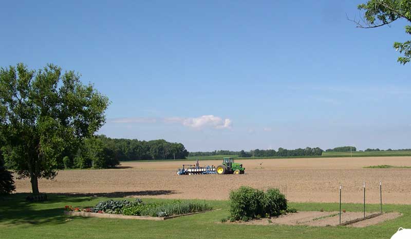 Main garden, July, 2009
