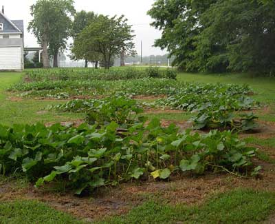 East Garden