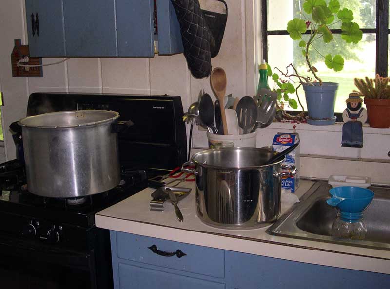Canning green beans