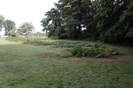 East Garden - July
