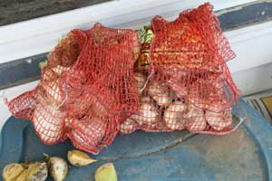 Bagged garlic