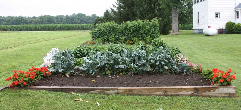 Main garden