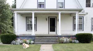 Flowerbeds in September