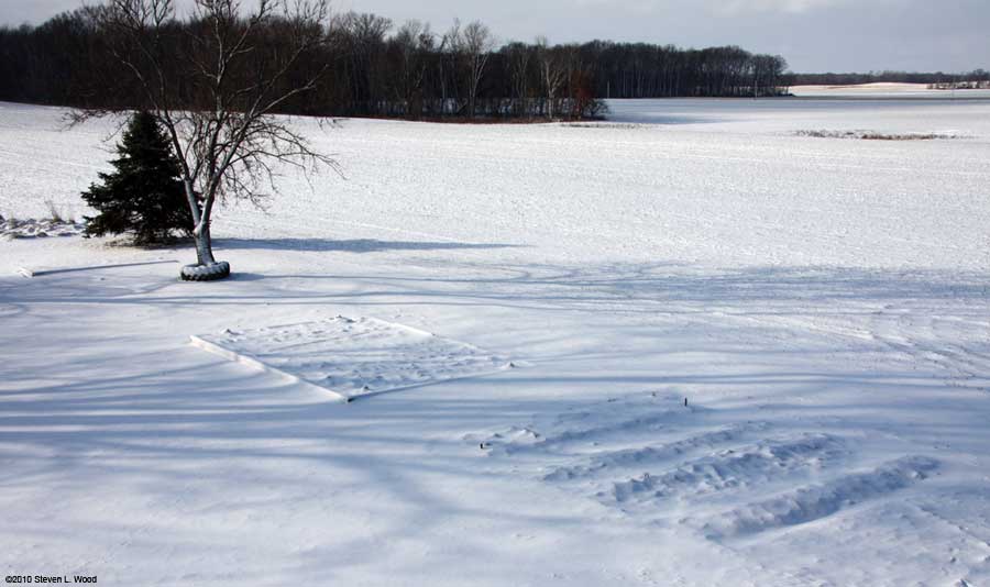 Our senior garden - 2/6/2010