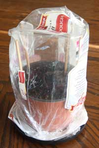 Bag over chopsticks