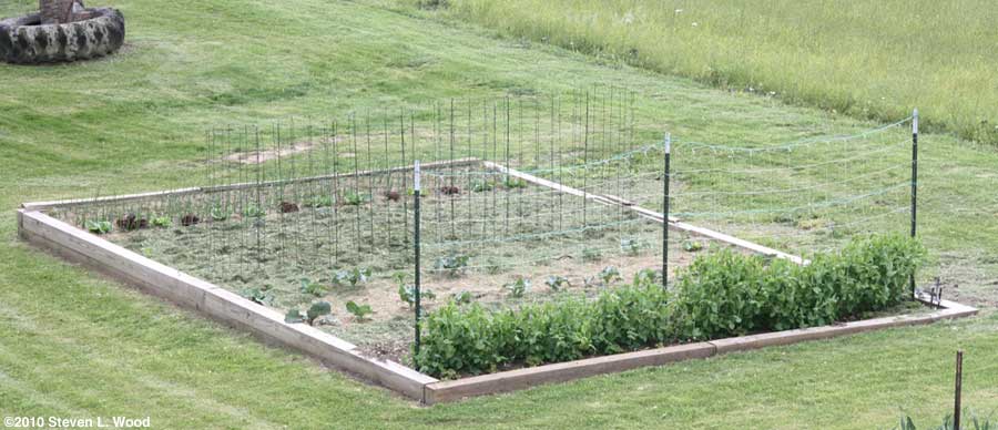 Raised bed fully planted