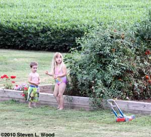 Grandkids eating grape tomatoes