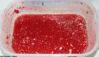 Tomato goo fermenting