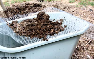 Screening compost