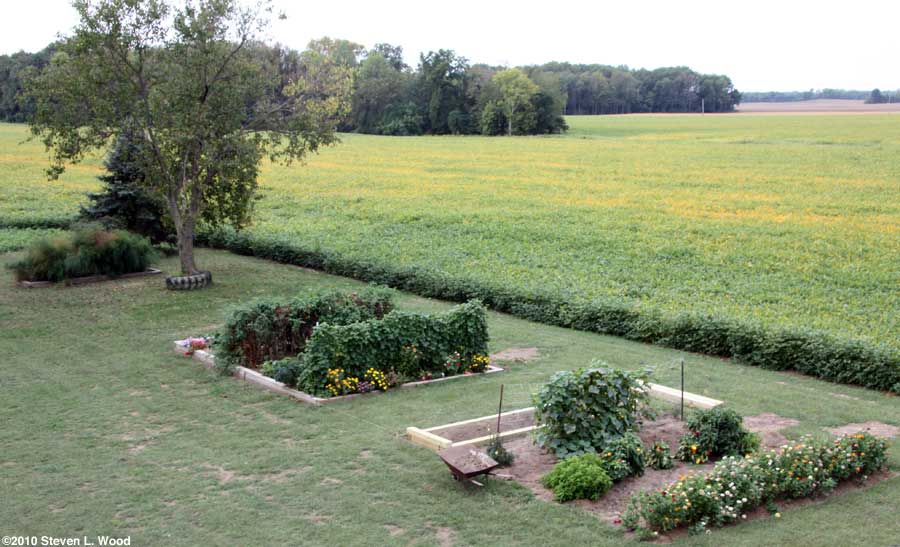 Our senior garden - 9/14/2010