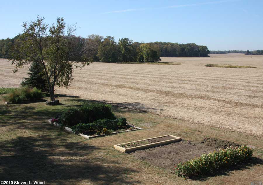 Our senior garden - 10/7/2010