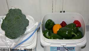 broccoli and peppers