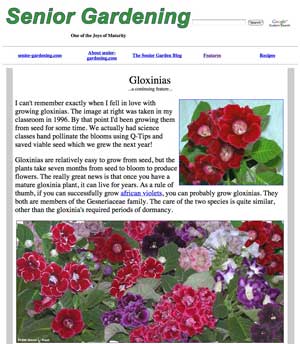 Gloxinia feature story