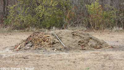 Compost pile