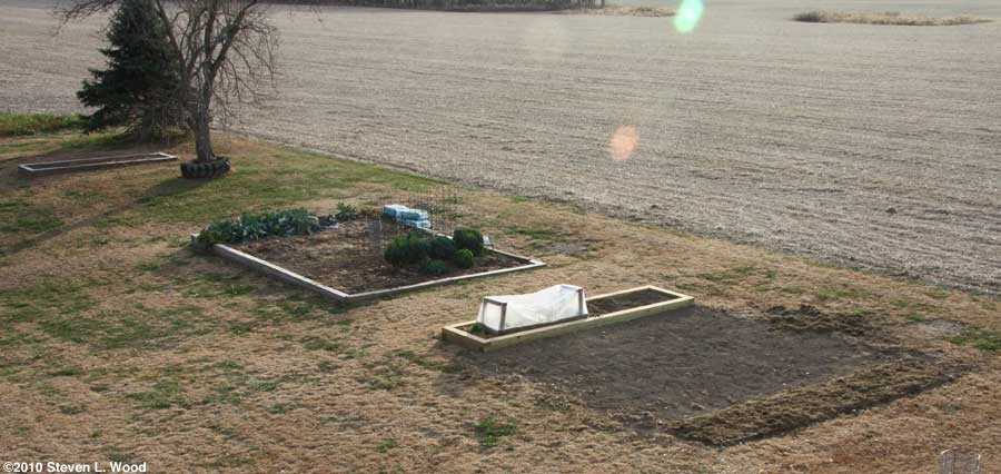 Our senior garden - 11/15/2010