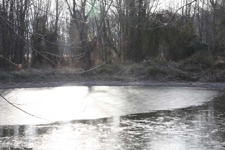 Ice on the pond