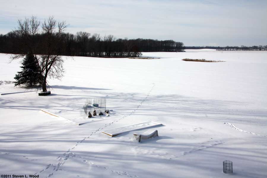 Our senior garden - 1/21/2011