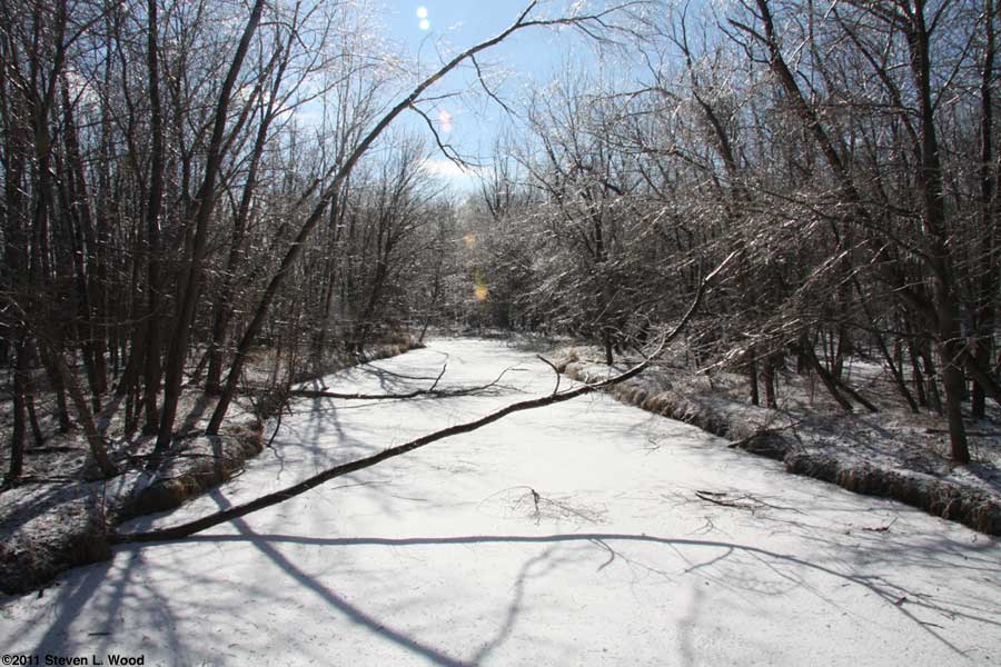 Our Creek