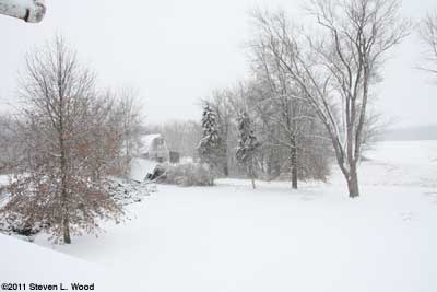 Snow on trees and barn