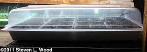 covered tray with heat probe