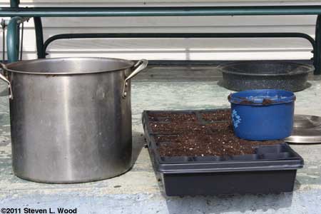 Filling the cells with potting soil