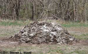 Compost pile