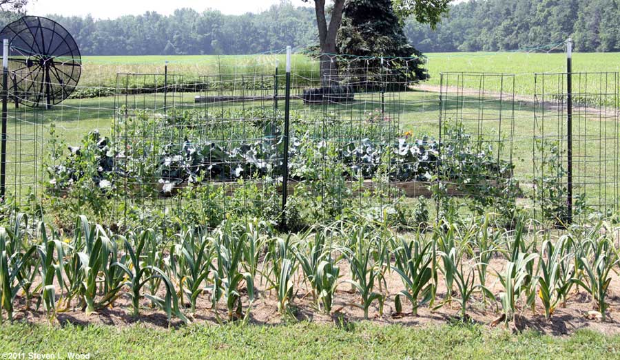 Main garden plots