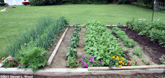 Plot B left