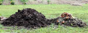 Compost piles