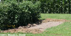 Bed waiting for rain