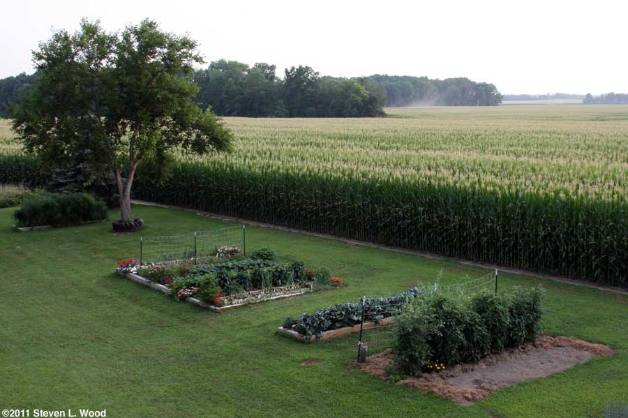 Our senior garden - 7/18/2011